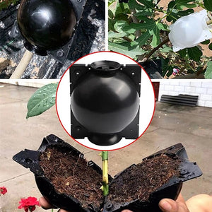 (🎉New Year Big Sale - 50% OFF) -Plant Root Growing Box