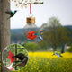 🌞Summer Funny Sale Buy 1 get 1 free - Hummingbird Feeder Mason Jar Three Ports